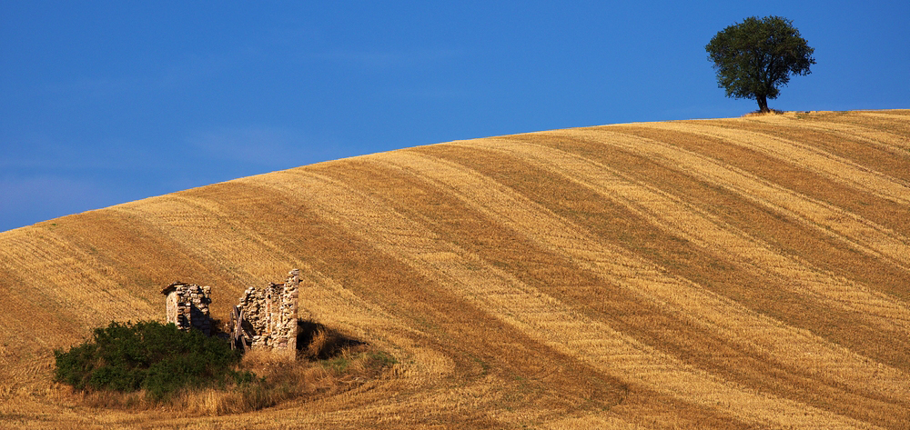 vacanza in molise